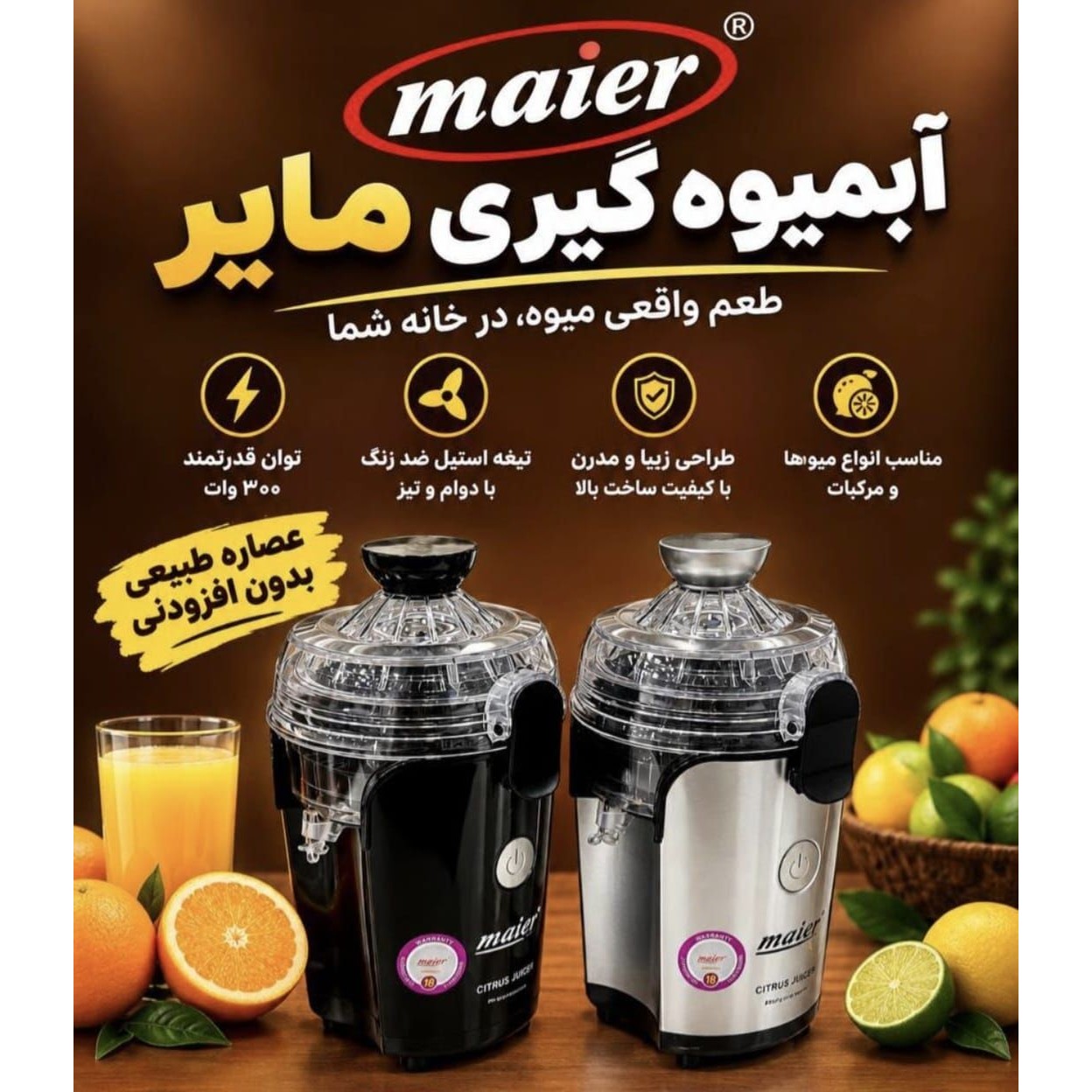 آب مرکبات گیری مایر 2سرعته 200واتجدید