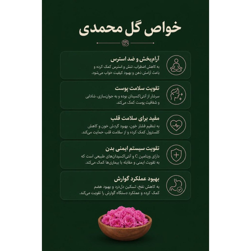 غنچه گل محمدی دیم.(لایزنگان)