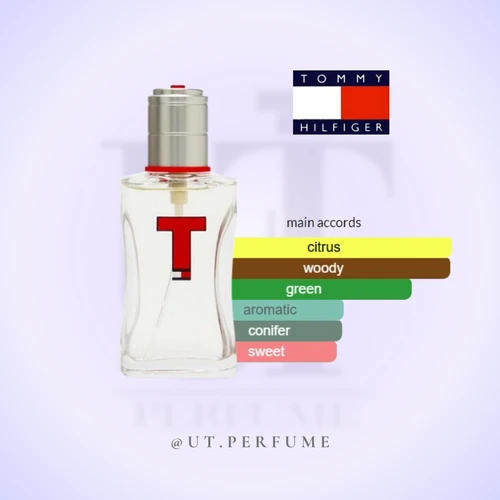 عطر تامی هیلفیگر تی مردانه TOMMY HILFIGER - Tommy Hilfiger T