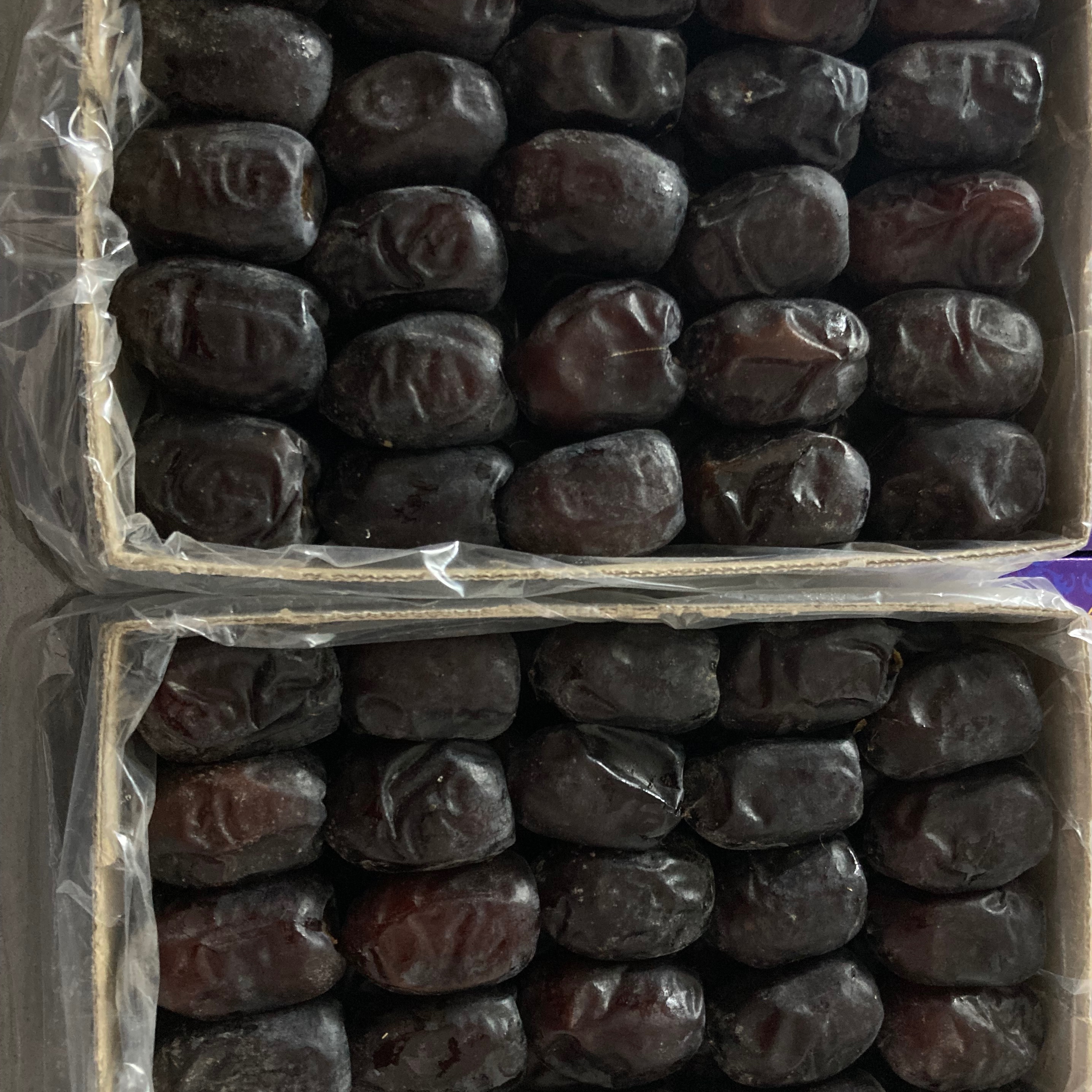 خرمای مضافتی لوکس بم(800 گرمی در بسته بندی دو رج)