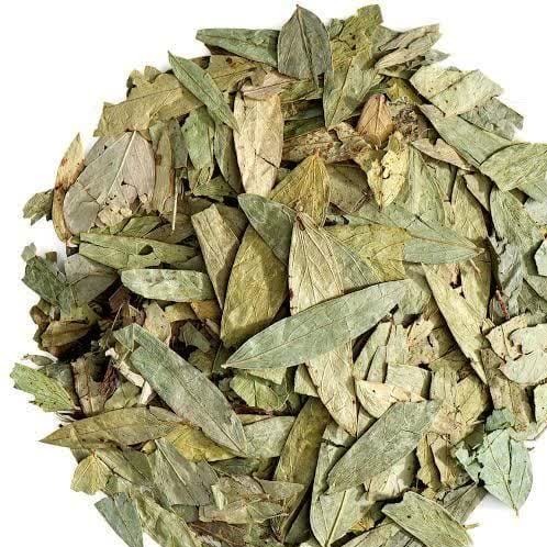 برگ سنا یک کیلویی 