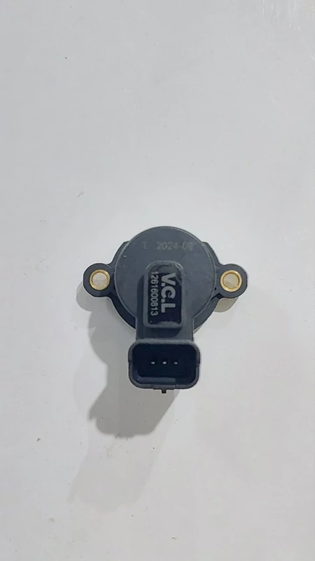 پتانسیومتر دریچه گاز پلمیری 206 VCL D17