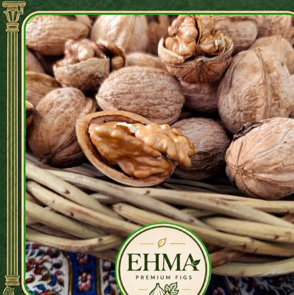 گردو پوست کاغذی اورگانیک