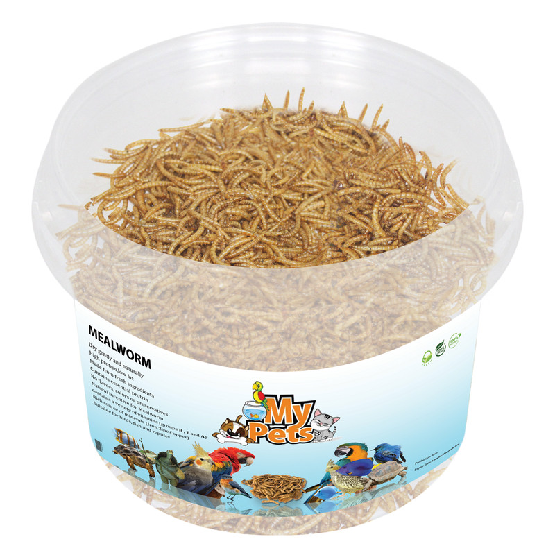 غذای تشویقی پرندگان مای پتز مدل Mealworm وزن 40 گرمجدید