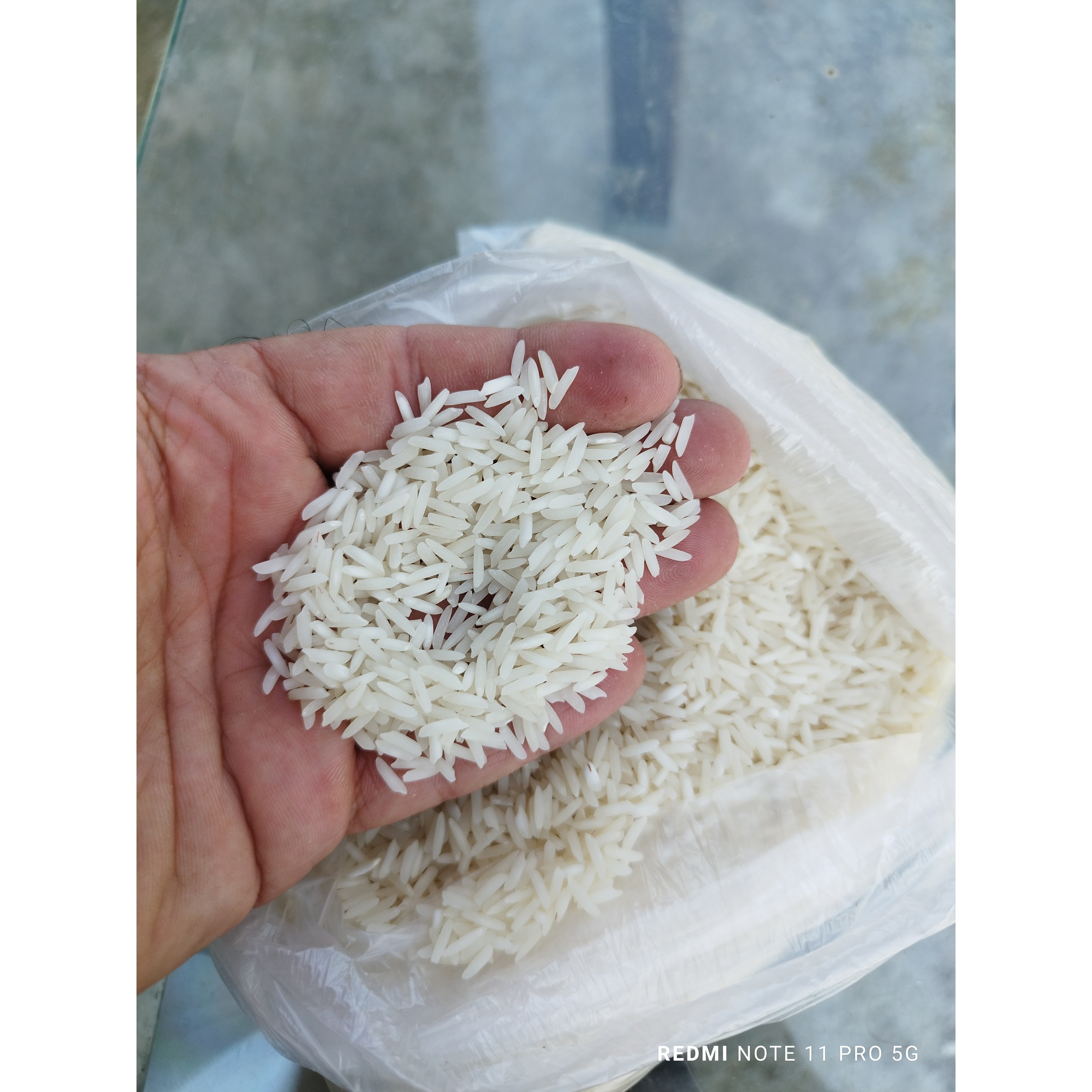 برنج شیرودی خوش پخت