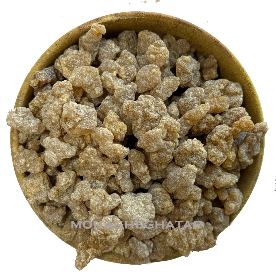 کندر آتشی (کندور دودی)
