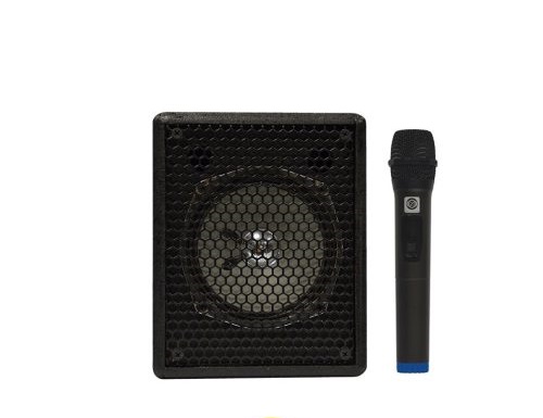 اکو همراه 5 اینچ (مینی) بامیکروفون زیکو ZICO مدل 15150PBUR