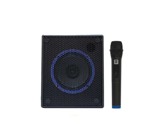 اکو همراه 6 اینچ بامیکروفون زیکو ZICO مدل 16150PBUR