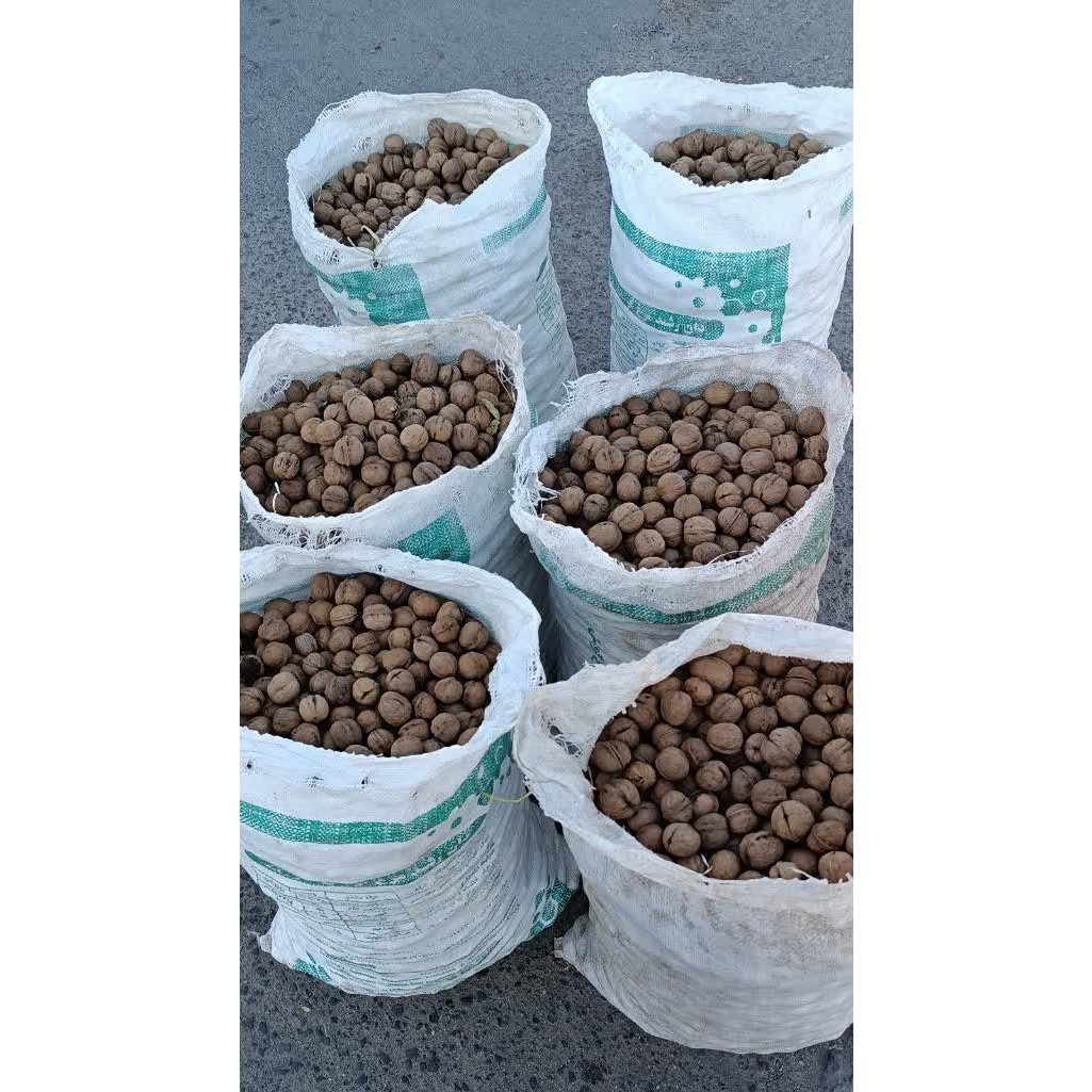 گردوی پوست کاغذی تویسرکان درجه یک(تضمین کیفیت)