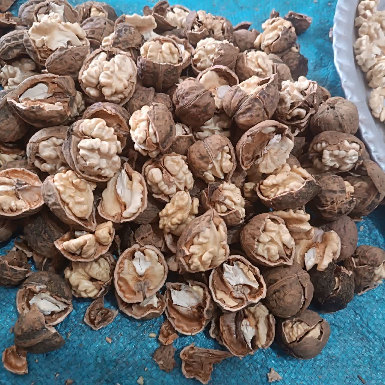 گردوی پوست کاغذی اعلای تویسرکان (تضمین کیفیت)