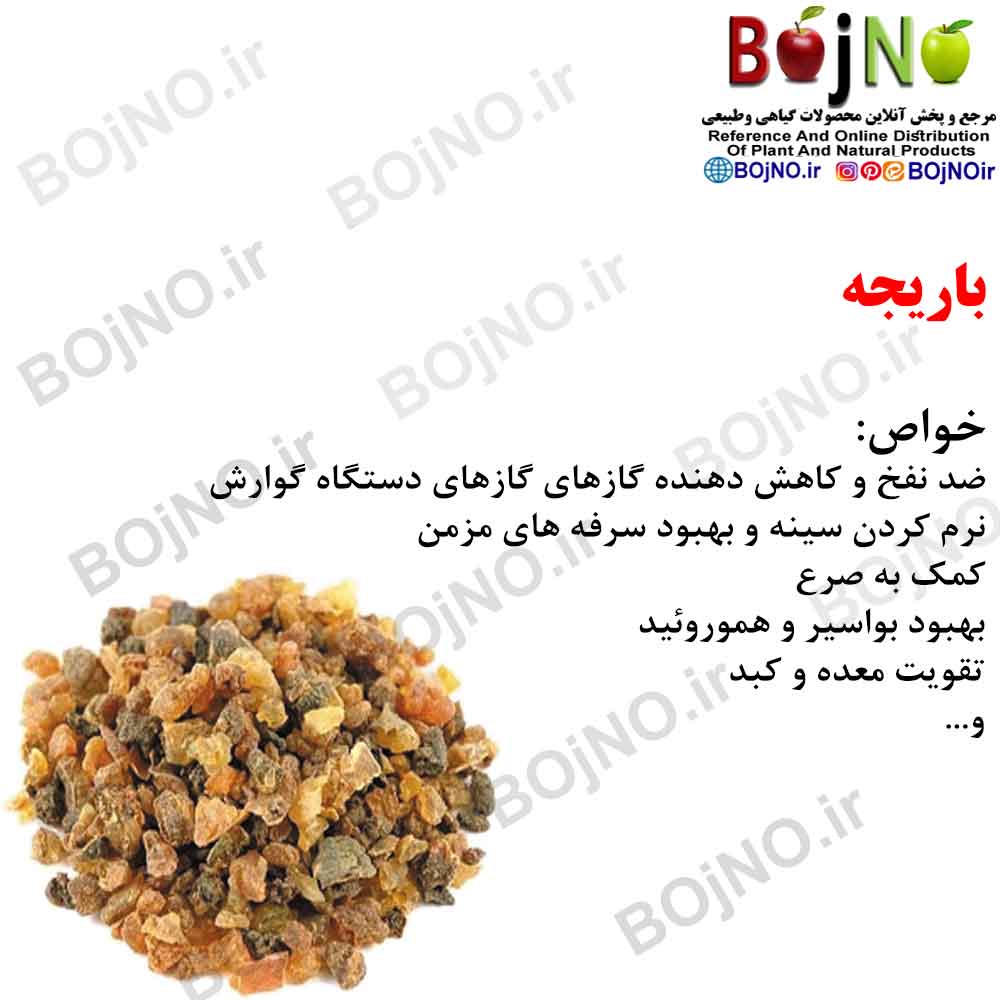 صمغ باریجه 50گرمی