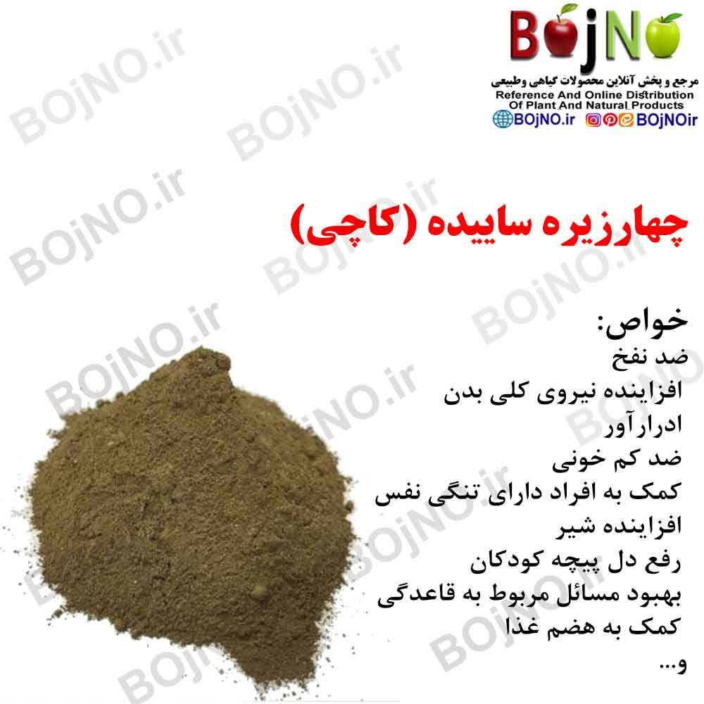 چهار زیره سابیده 100گرمی