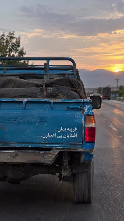 برچسب بدنه خودرو طرح گربه کد 104