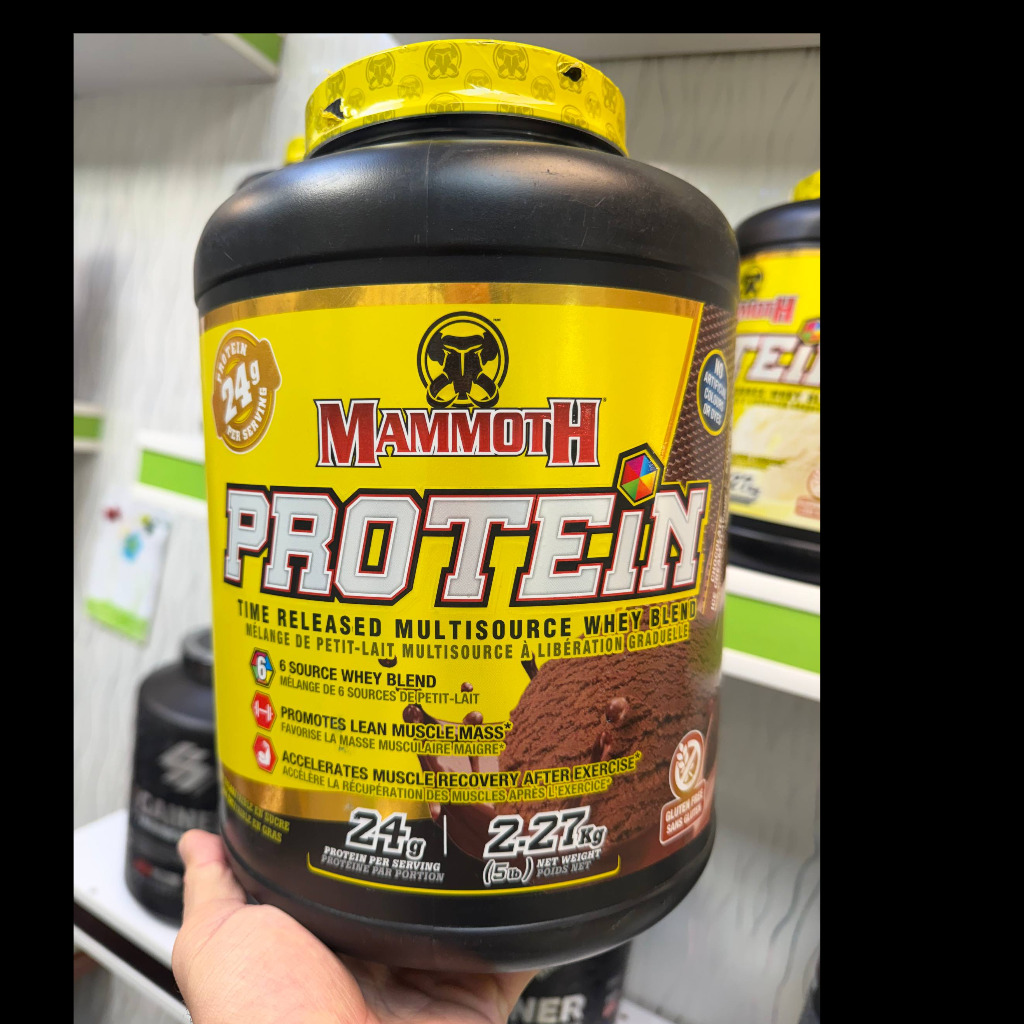 پودر پروتئین وی چندمنبعی ماموت 2.27 کیلوگرم Mammoth Whey Proteinجدید