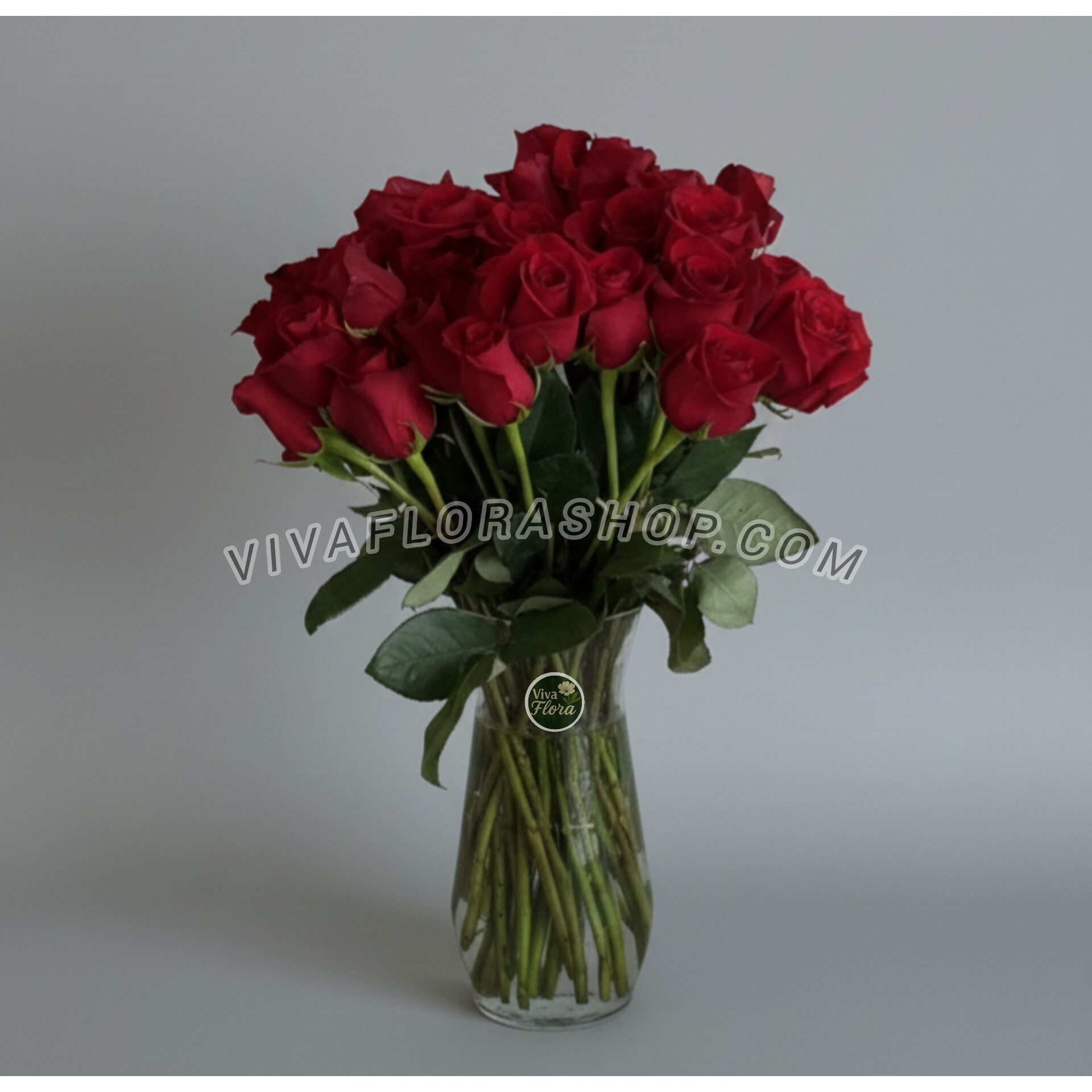 جار گل رز قرمز کلاسیکجدید