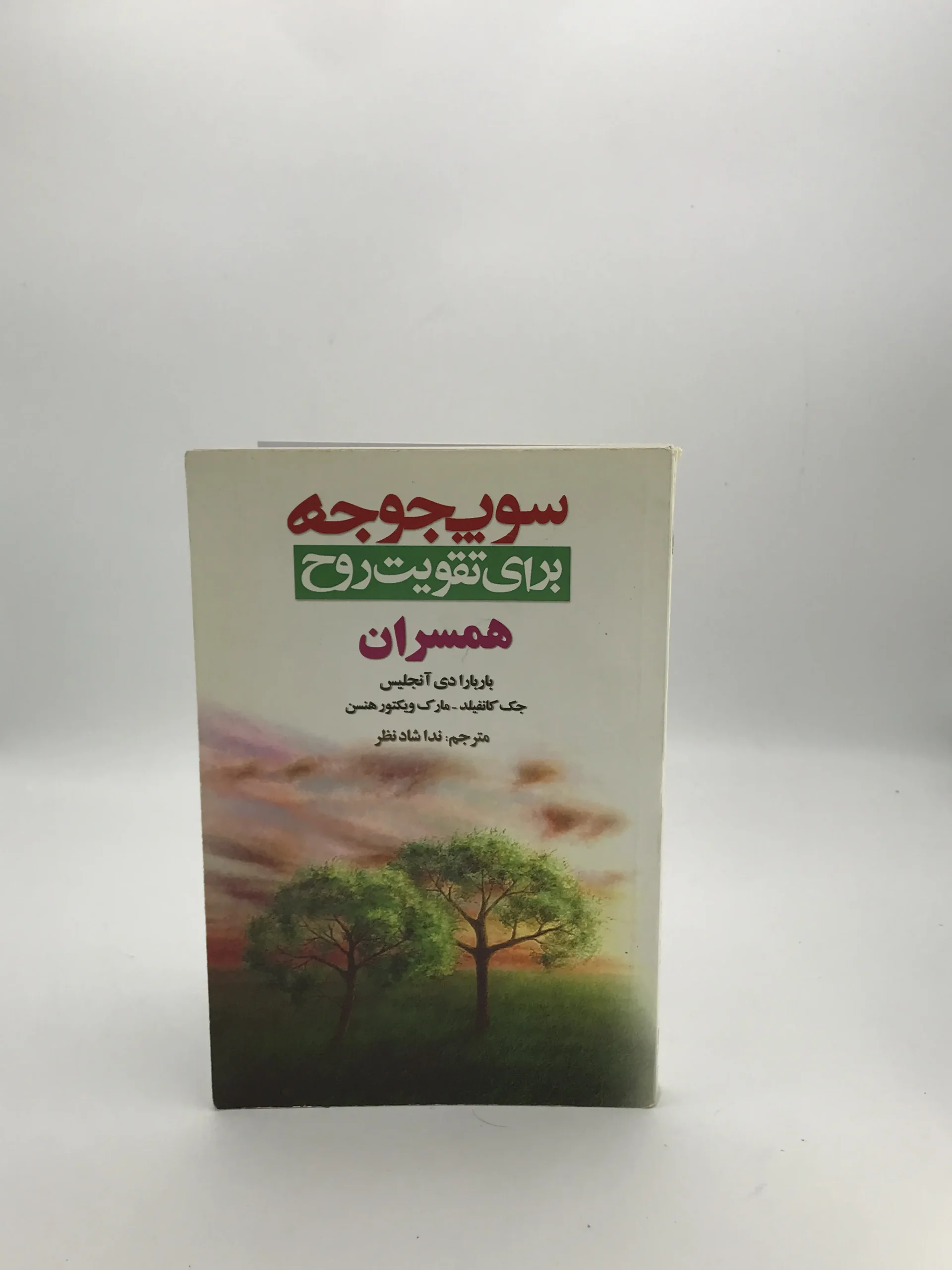 سوپ جوجه برای تقویت روح همسران