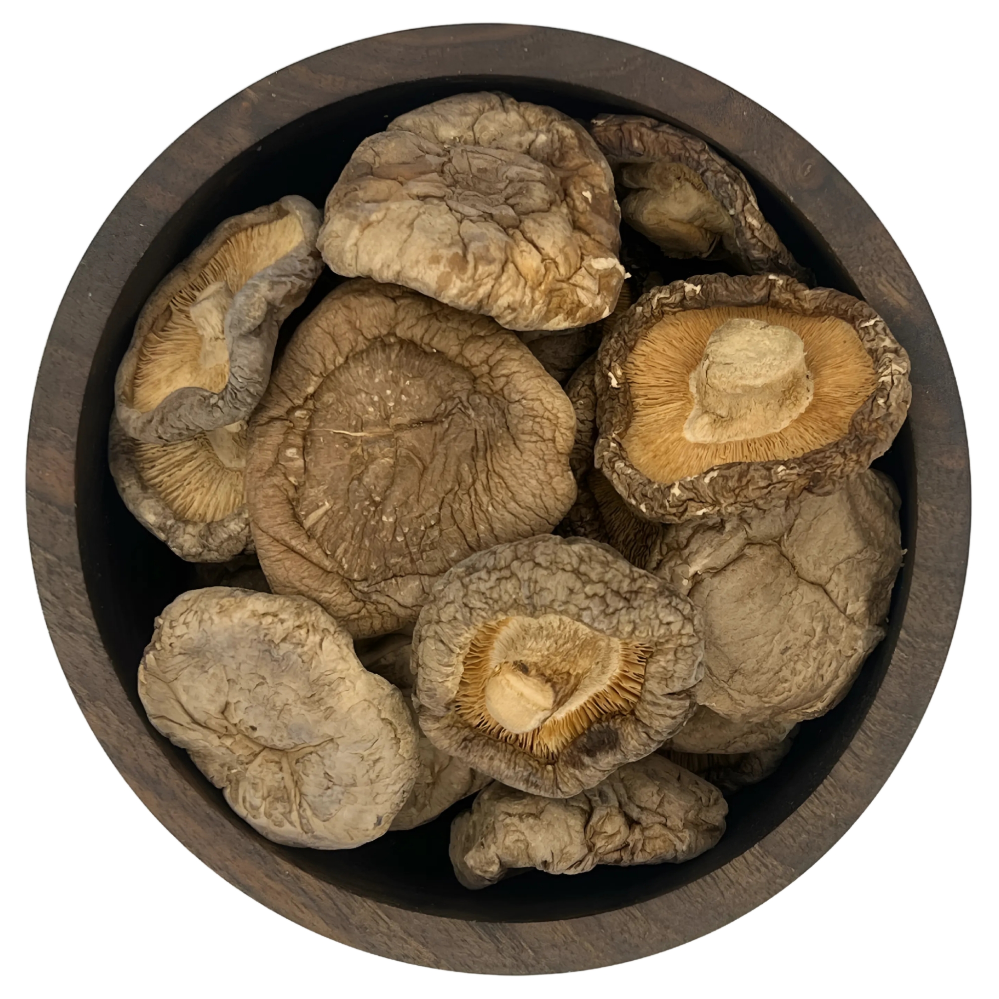 قارچ شیتاکه