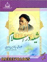 شیعه در اسلام