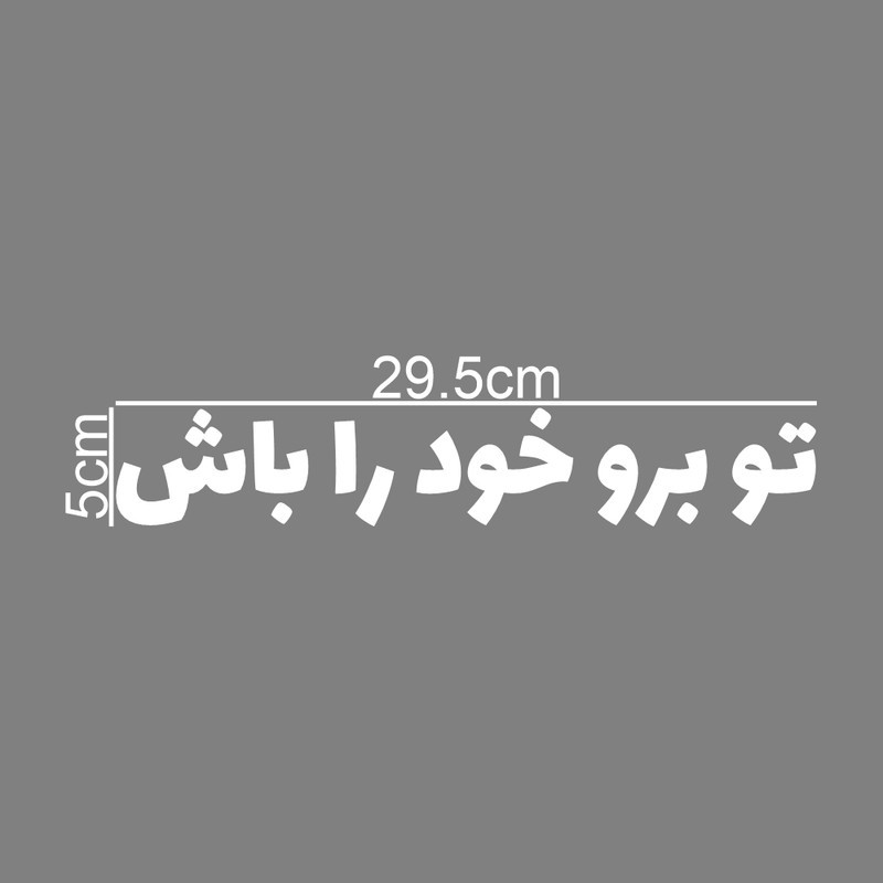 برچسب بدنه خودرو طرح تو برو خود را باش کد MT-W419جدید