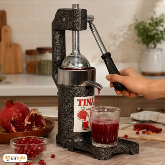 اب انار گیری صنعتی تینا