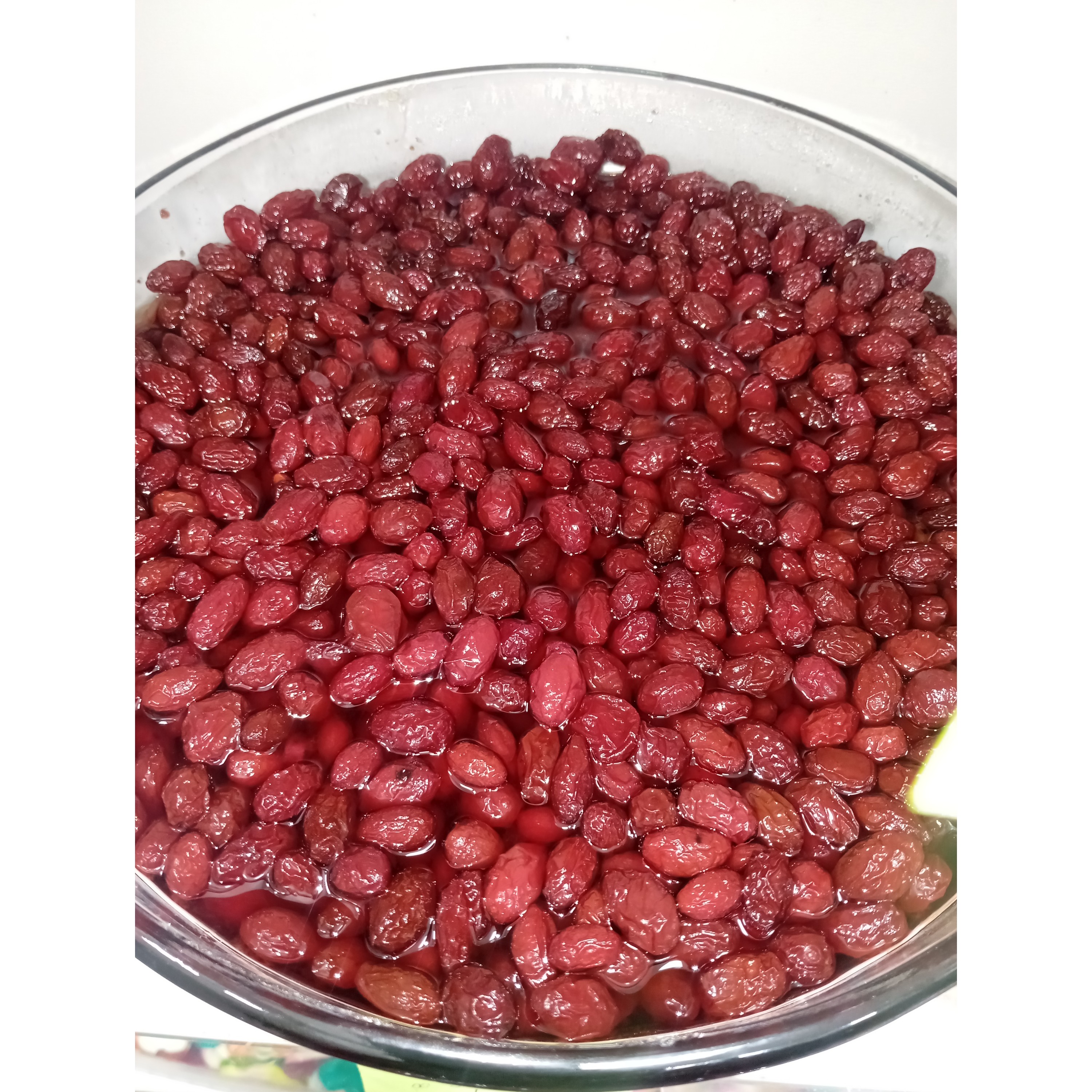 ترشک ذغال اخته 