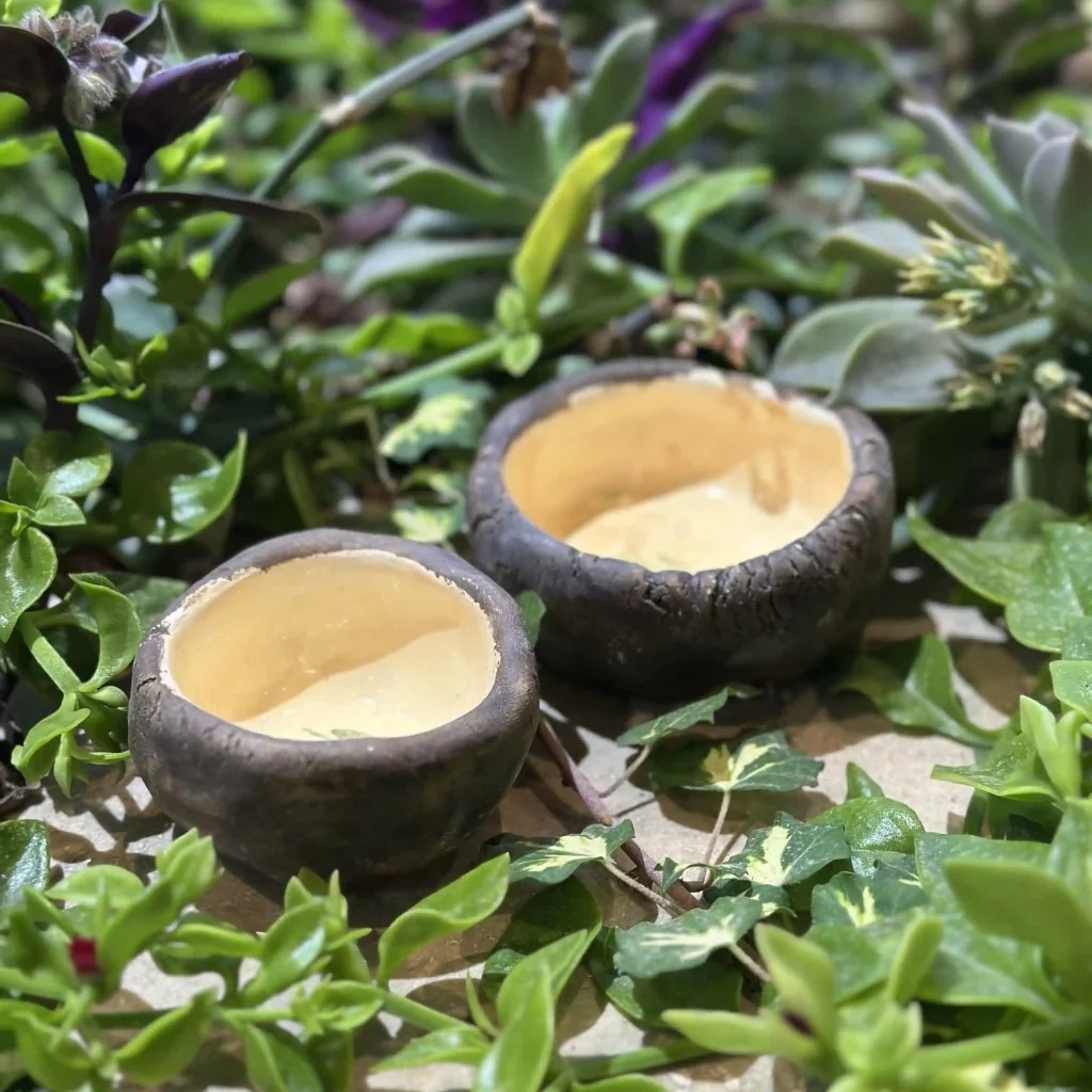 کاسه سرامیکی طرح چوبجدید