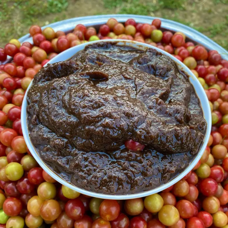رب آلوچه ملس عالی 400 گرم