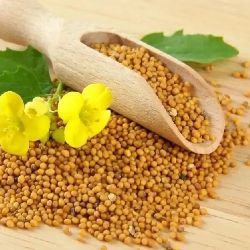 دانه خردل 130 گرم