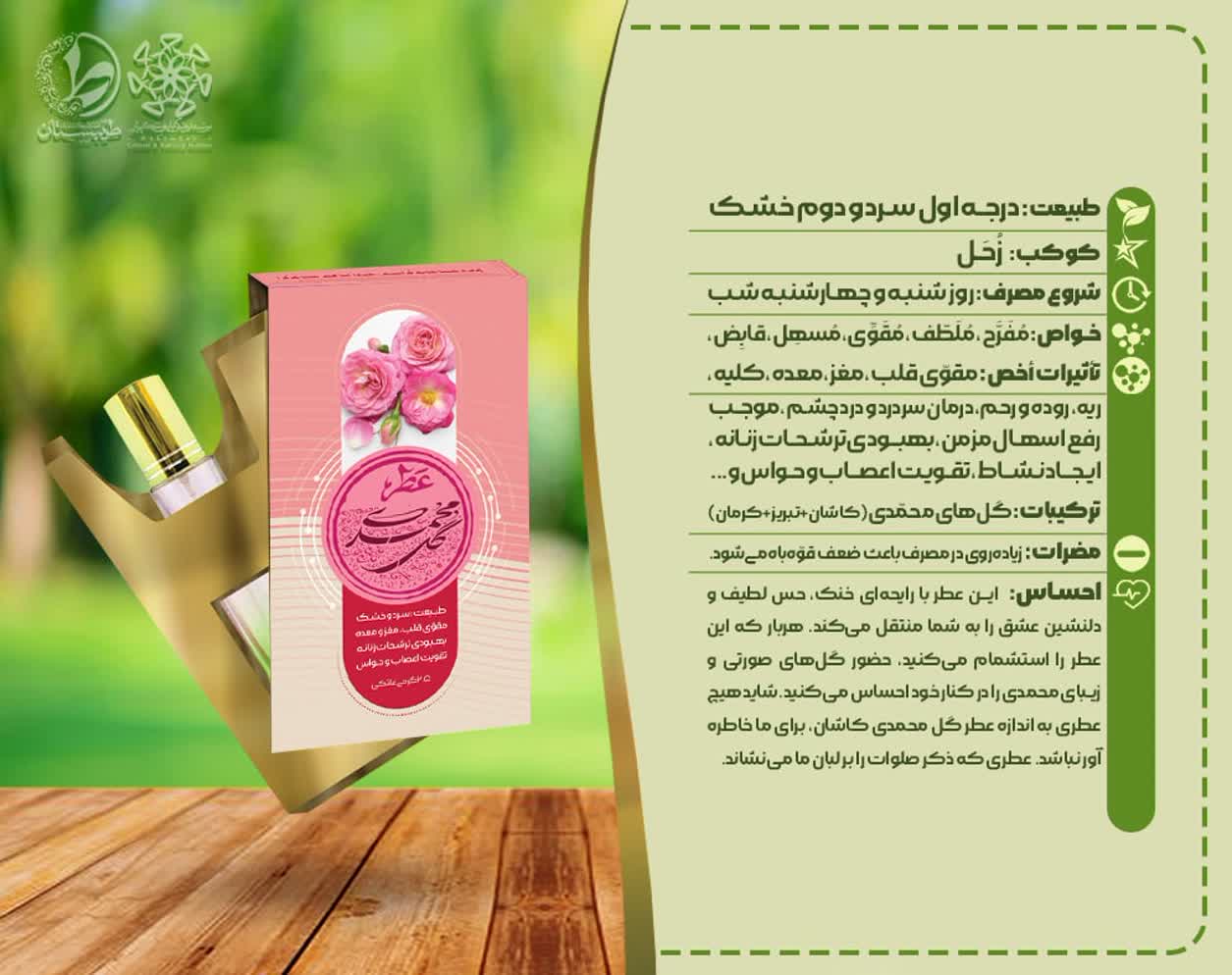 عطر گل محمدی | خرید عطر طبیعی با رایحه خنک و طبیعت سرد