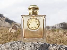 عطر ادکلن باربری گادس اینتنس زنانه 100 میلی اورجینال