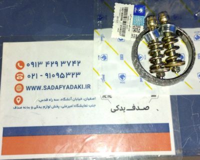 واشر گلویی پژو 405 ایساکو