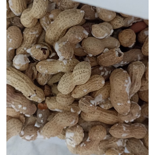 بادام زمینی اعلا 