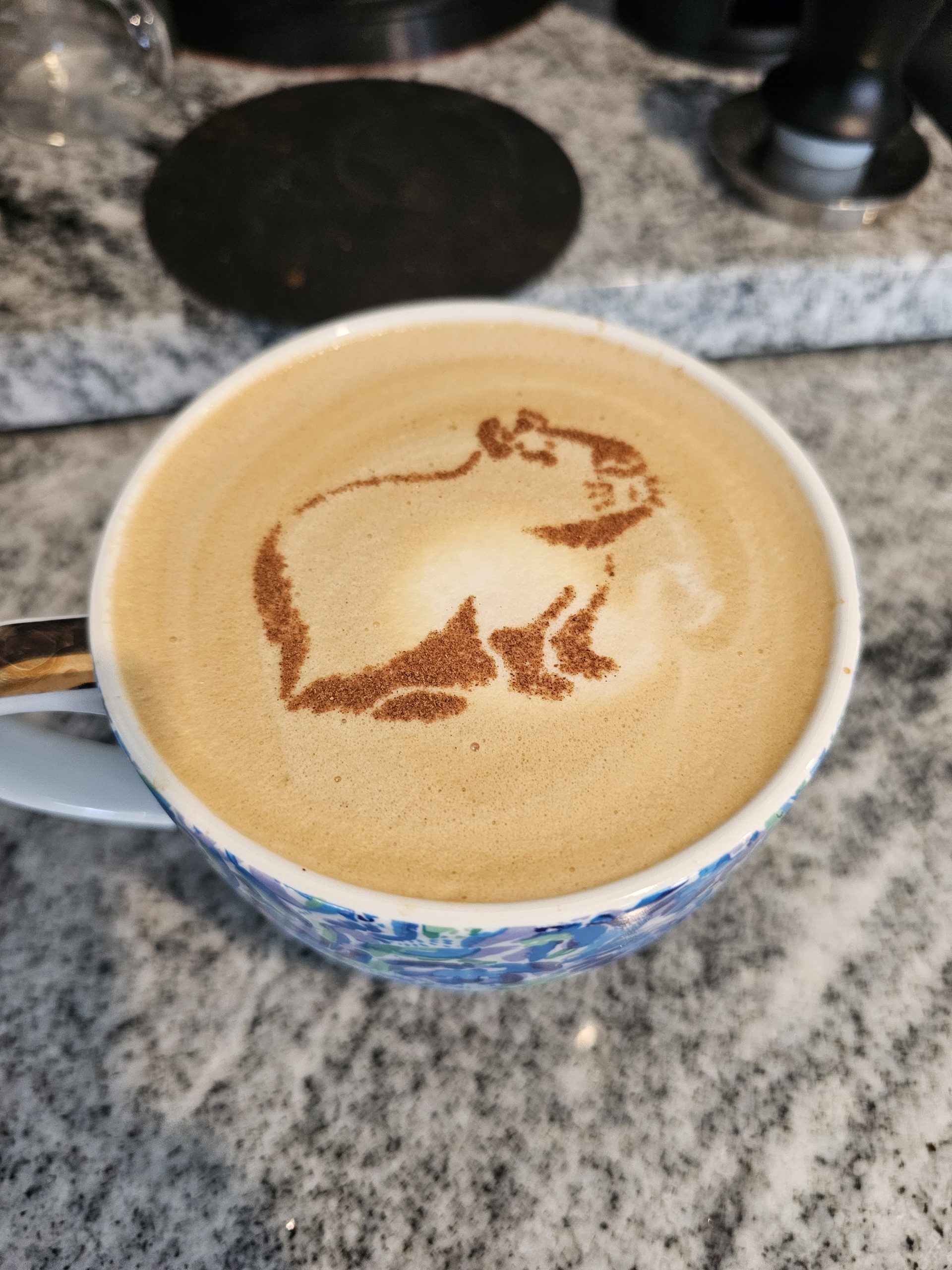 شابلون تزئین قهوه مدل Capybara