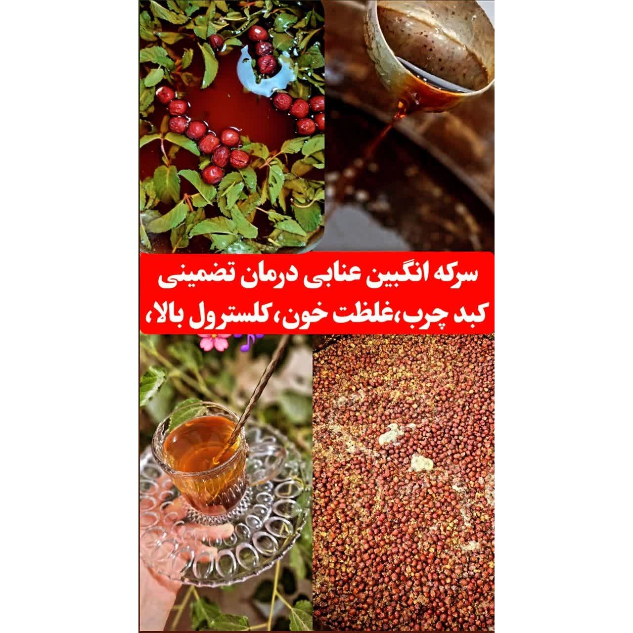 شربت سرکه انگبین عسل وعناب