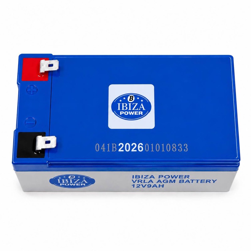 باتری UPS با ولتاژ 12 ولت و شدت جریان 9 آمپر ساعت ایبیزا مدل 12V9AH 2026جدید