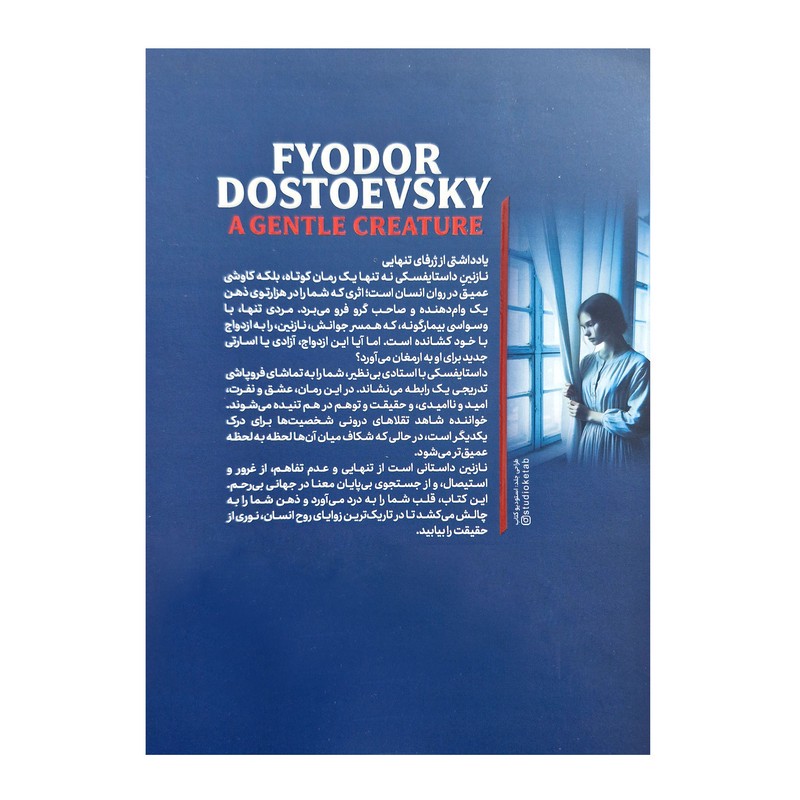 کتاب روح لطیف نازنین اثر داستایوفسکی ترجمه مریم ظفری نشر خودمونی ارسال سریع و اکسپرس