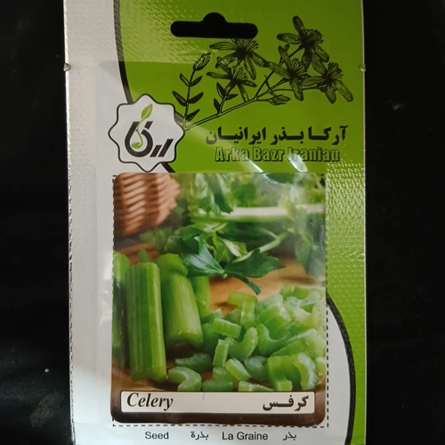 بذر کرفس