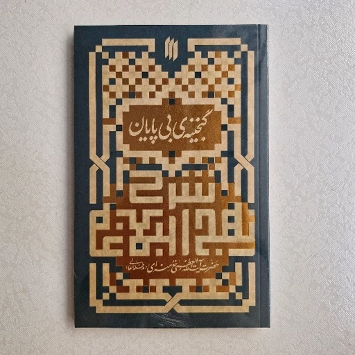 کتاب گنجینه بی پایان اثر حضرت آیت الله العظمی خامنه ای با موضوع نهج البلاغه