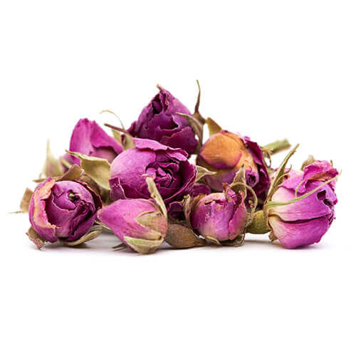 غنچه گل محمدی