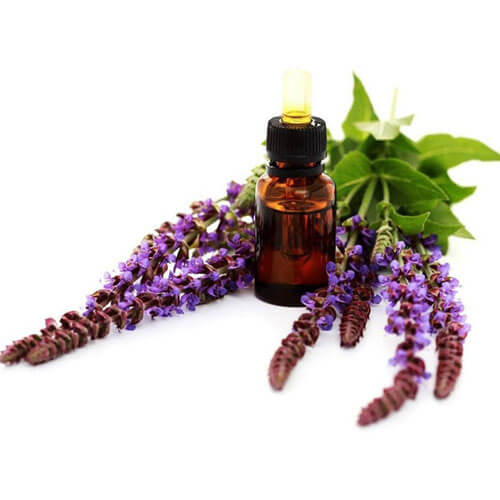 روغن مریم گلی 30 cc