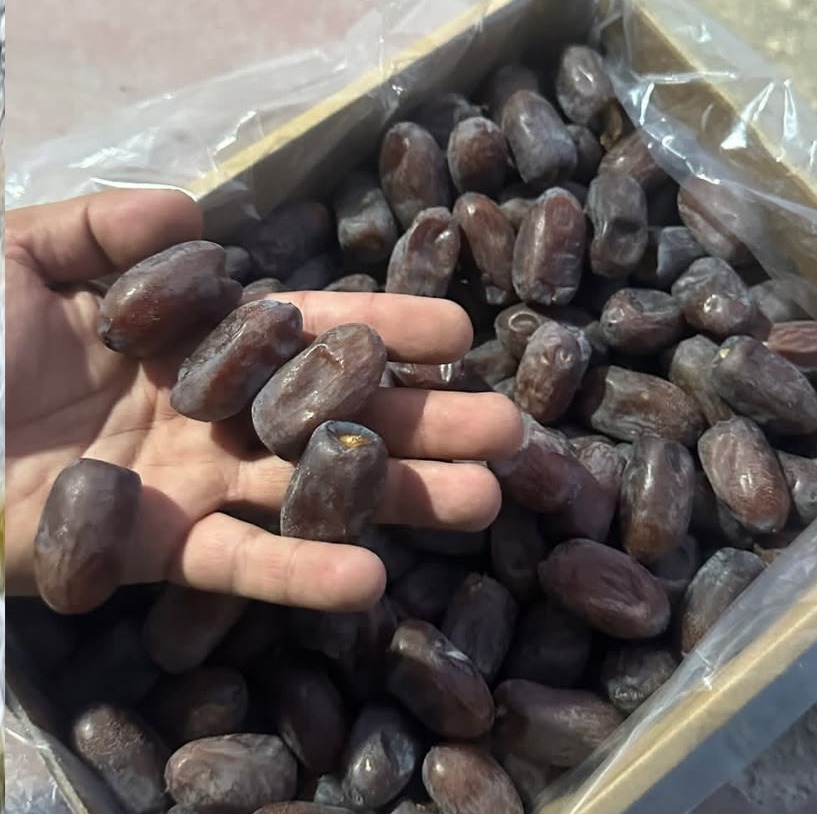 خرمای کلوته و مضافتی ممتاز صادراتی