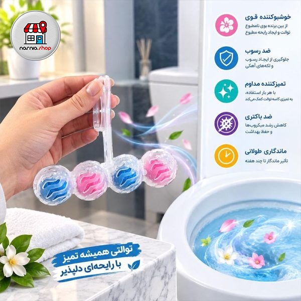 بوگیر توالت فرنگی جفتیجدید