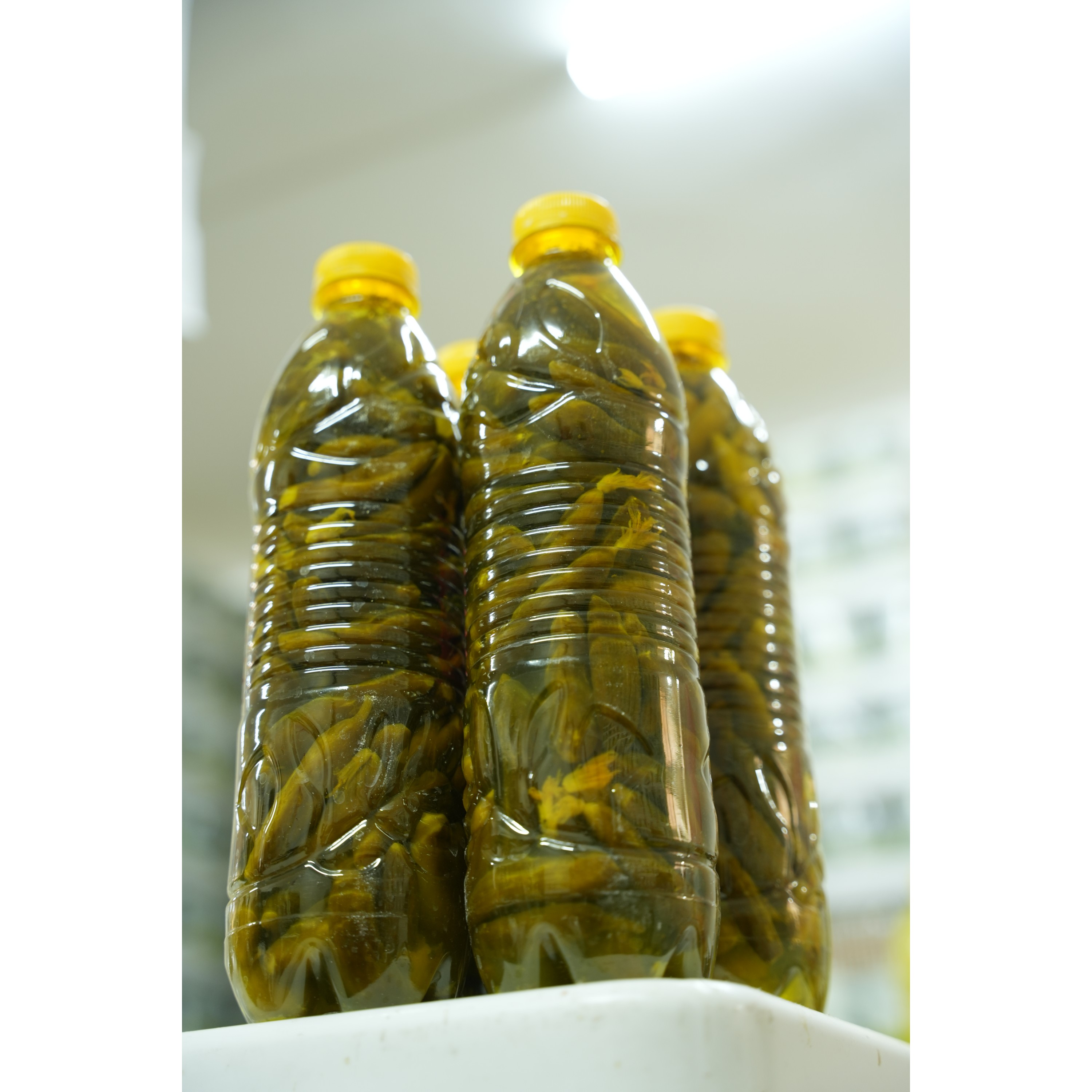 خیارشور ویژه درجه یک 