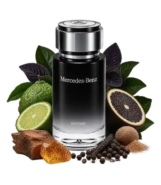 عطر مرسدس بنز اینتنس مردانه | Mercedes-Benz Intense
