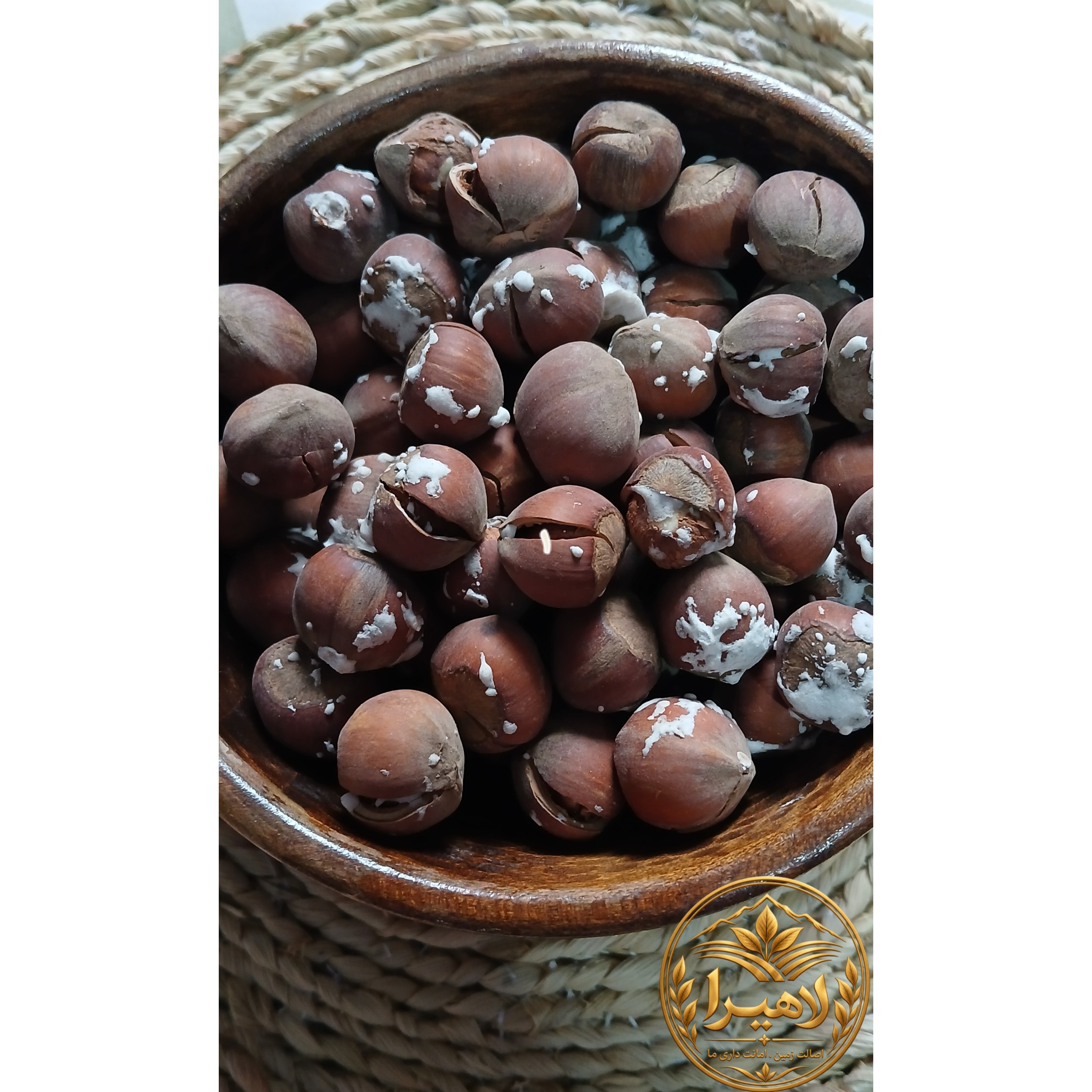 فندق خندان برشته و نمکی اشکورات گیلان 1405( فندق شور و بوداده) 500 گرمی