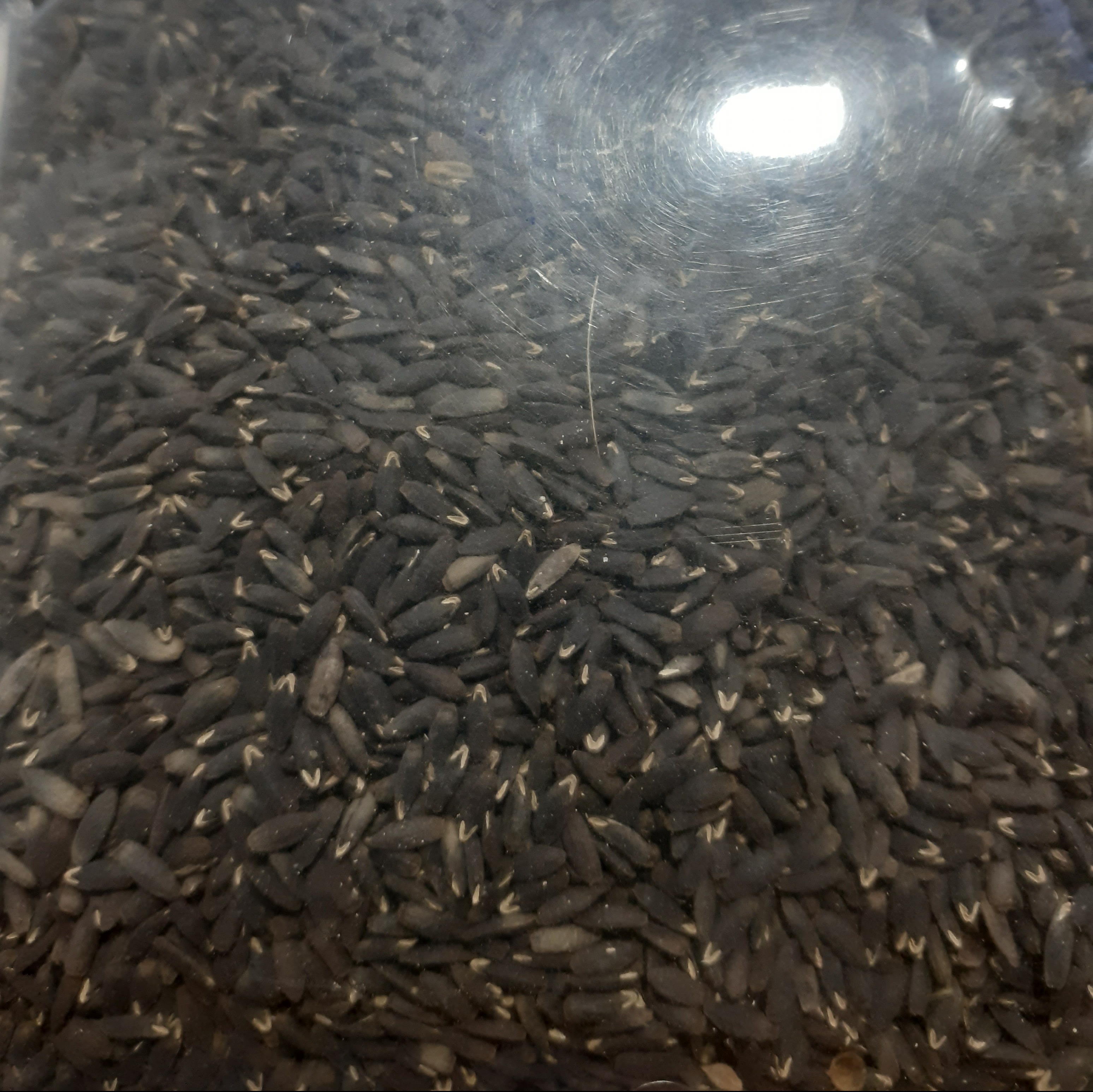 کنجد سیاه بازارک