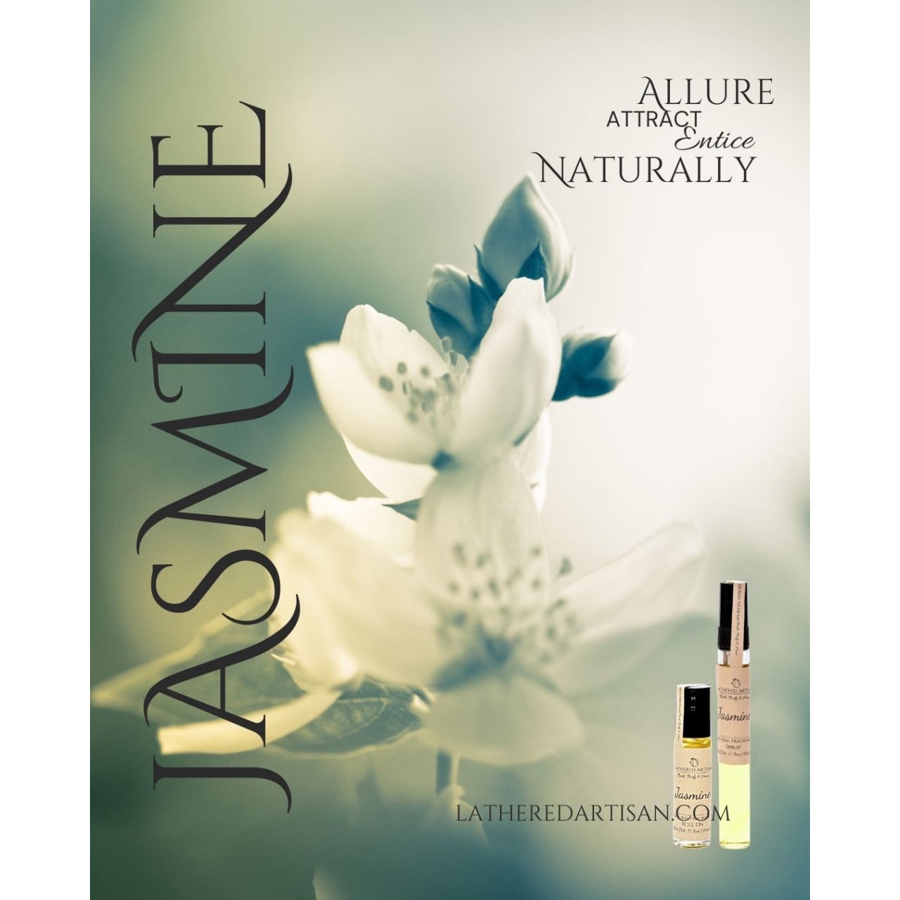 عطر گل یاس رازقی اعلاء با ماندگاری بالا اصل ژیوادان سوییس JASMIN FLOWER