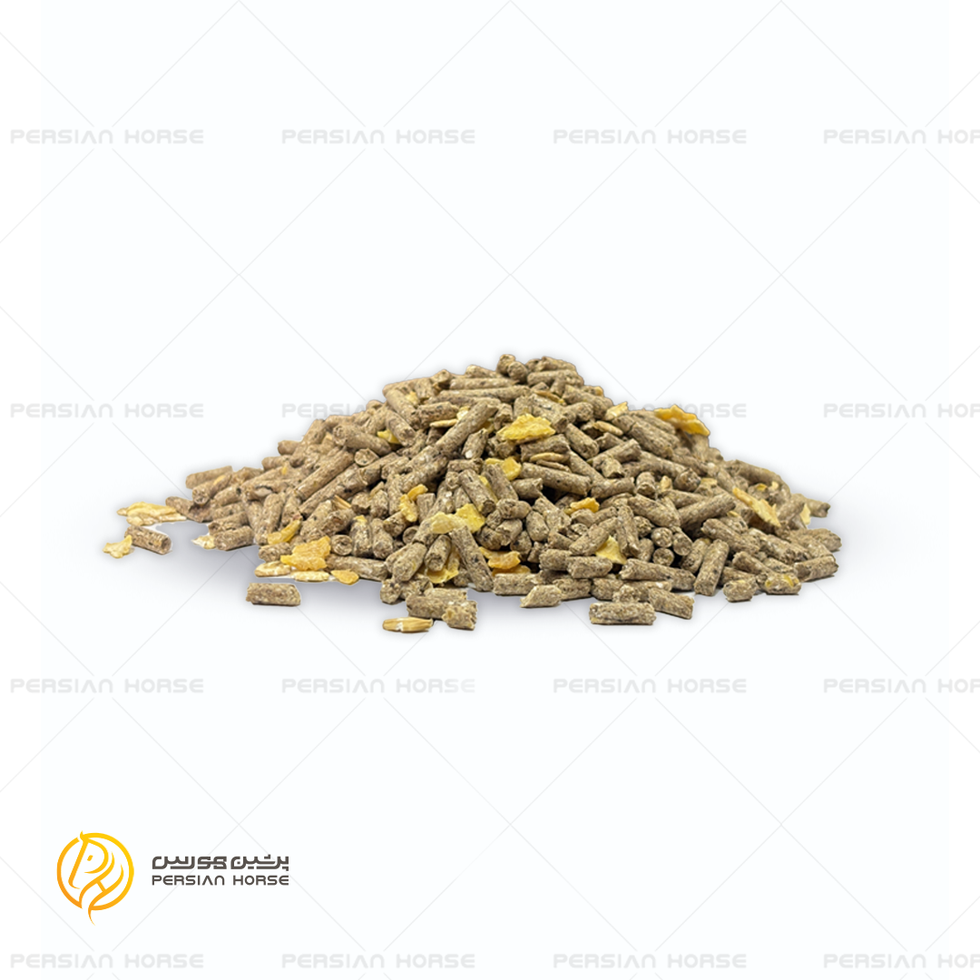خوراک آجیلی اسب نوین