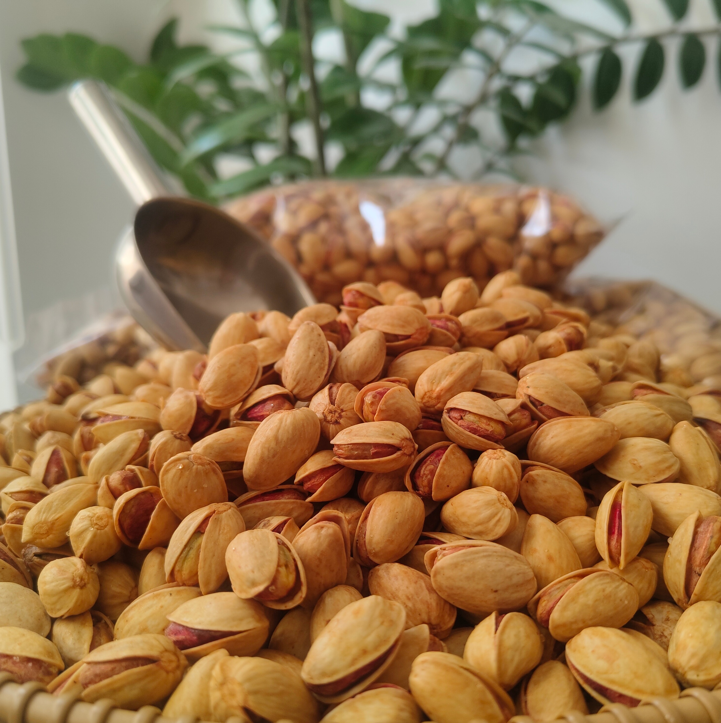 پسته احمدآقایی شور