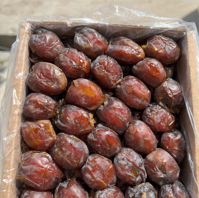خرما کبکاب درجه یک ریحان یک کیلویی